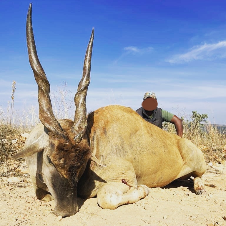 Hunt Eland, Kudu, Nyala & Bushbuck on this SA Spiral Horn Hunt