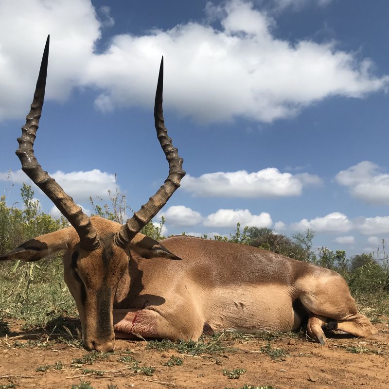 Leopard Hunting in Namibia & Brown Hyena Cancelation Hunt