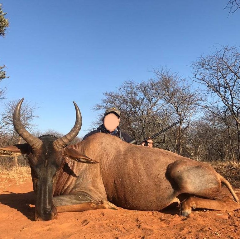 Leopard Hunting in Namibia & Brown Hyena Cancelation Hunt