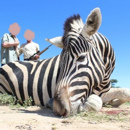 Leopard Hunting in Namibia & Brown Hyena Cancelation Hunt