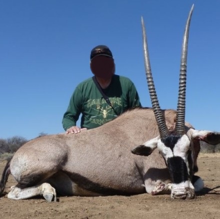 Hunt Gemsbok, Zebra, Impala & 2 More Species in Namibia