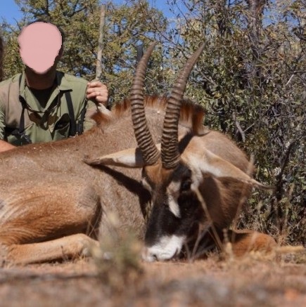 Leopard Hunting in Namibia & Brown Hyena Cancelation Hunt