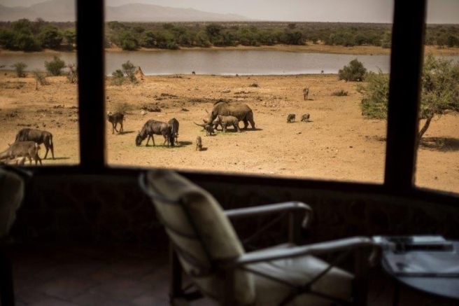 Leopard Hunting in Namibia & Brown Hyena Cancelation Hunt