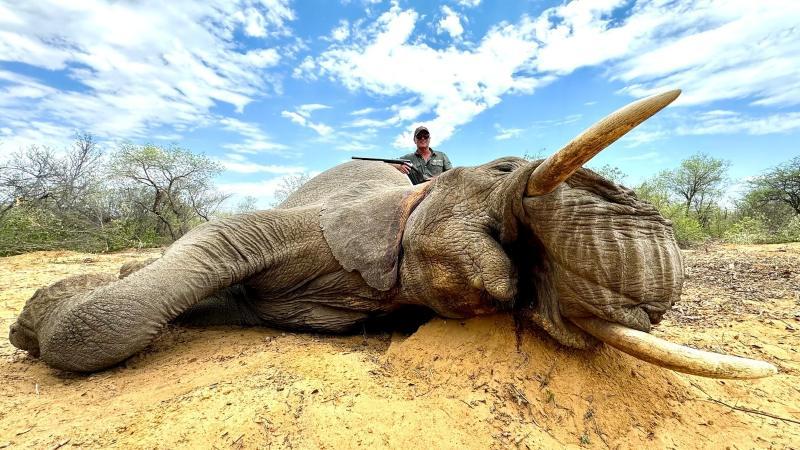 Leopard Hunting in Namibia & Brown Hyena Cancelation Hunt