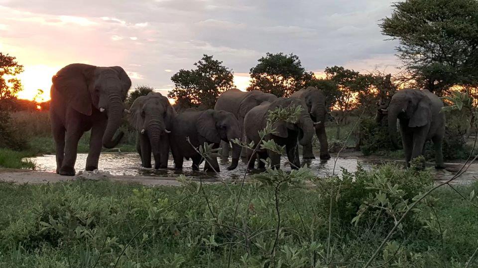 Non-Exportable Elephant Hunting in Namibia: Bushmanland