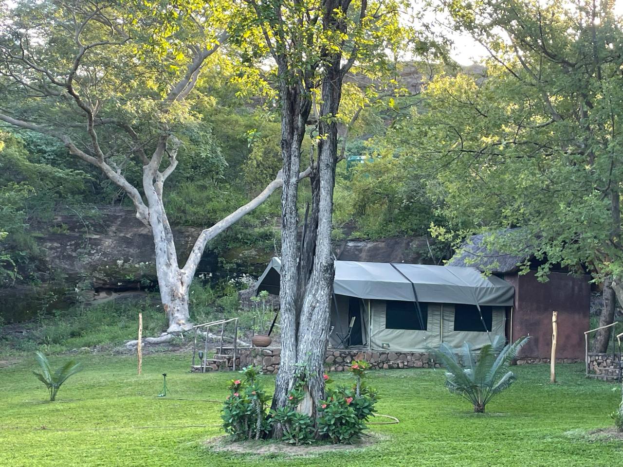 Leopard Hunting in Namibia & Brown Hyena Cancelation Hunt