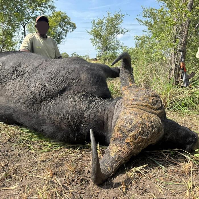Leopard Hunting in Namibia & Brown Hyena Cancelation Hunt