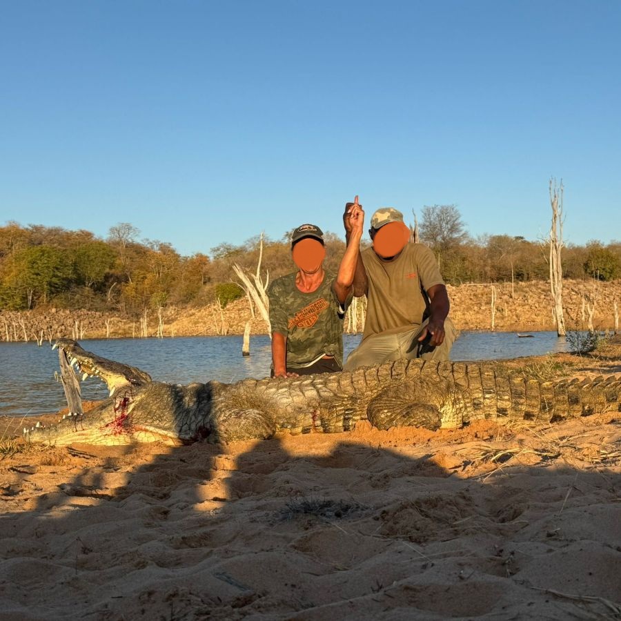Leopard Hunting in Namibia & Brown Hyena Cancelation Hunt
