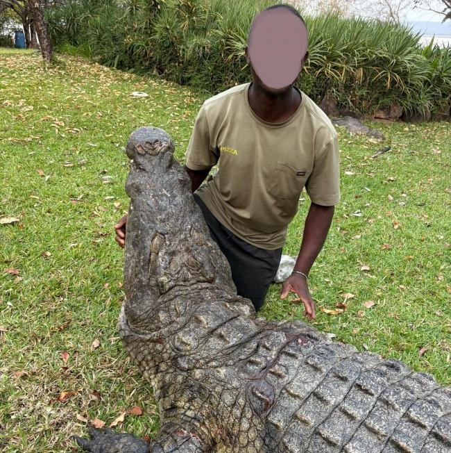 Leopard Hunting in Namibia & Brown Hyena Cancelation Hunt