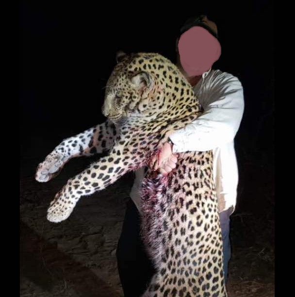 Leopard Hunting in Namibia & Brown Hyena Cancelation Hunt