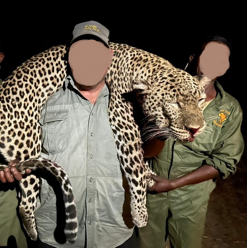 Leopard Hunting in Namibia & Brown Hyena Cancelation Hunt