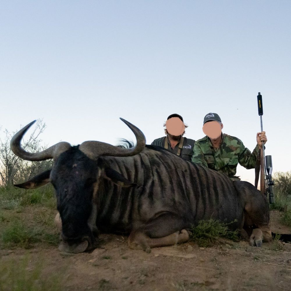 Leopard Hunting in Namibia & Brown Hyena Cancelation Hunt