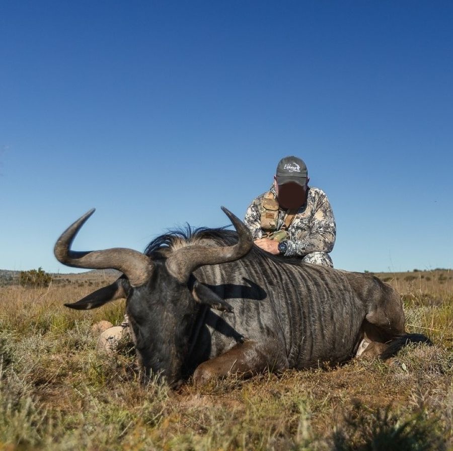 Leopard Hunting in Namibia & Brown Hyena Cancelation Hunt