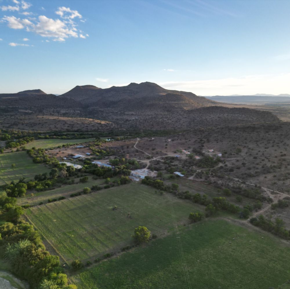 Leopard Hunting in Namibia & Brown Hyena Cancelation Hunt