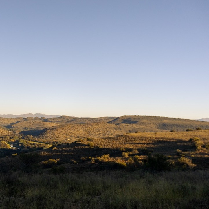 Leopard Hunting in Namibia & Brown Hyena Cancelation Hunt
