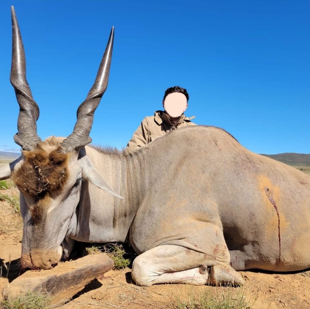 Trophy Hunting in the Eastern Cape: Eland, Springbok, Kudu & Mountain Reedbuck