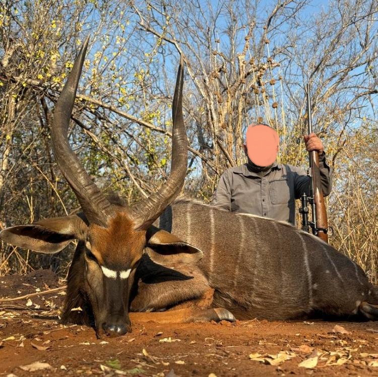 Leopard Hunting in Namibia & Brown Hyena Cancelation Hunt