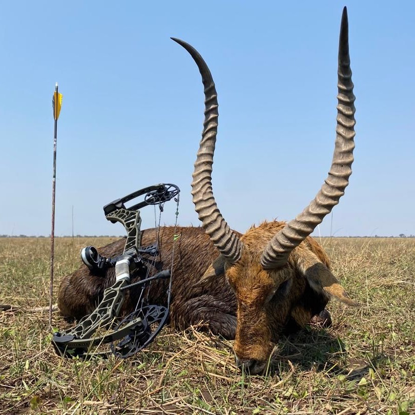 Plains Game Hunting in Zambia: Black & Kafue Lechwe, Puku & Bushbuck