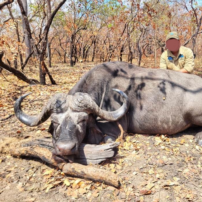 Leopard Hunting in Namibia & Brown Hyena Cancelation Hunt