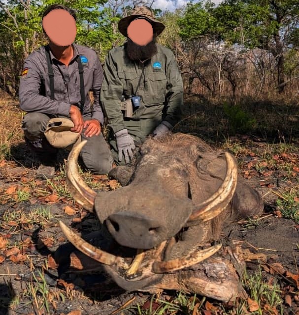 Leopard Hunting in Namibia & Brown Hyena Cancelation Hunt