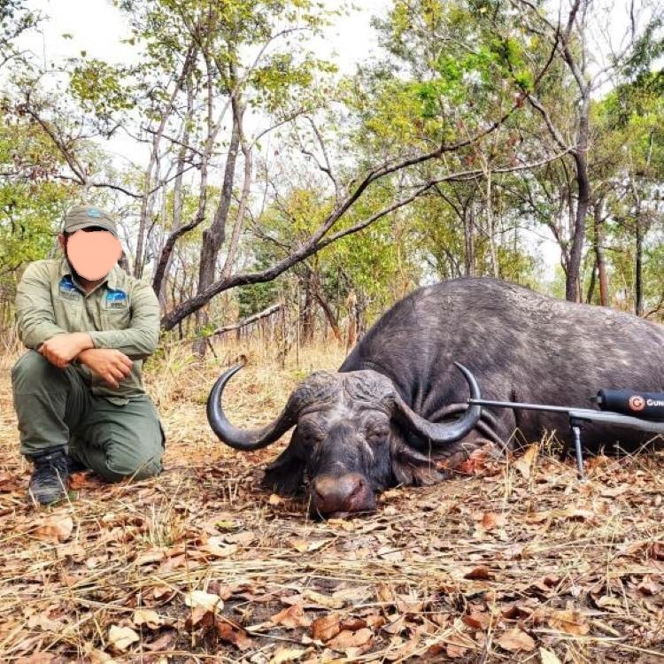 Leopard Hunting in Namibia & Brown Hyena Cancelation Hunt