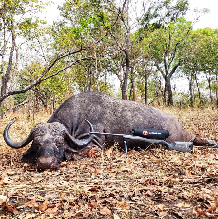 Leopard Hunting in Namibia & Brown Hyena Cancelation Hunt