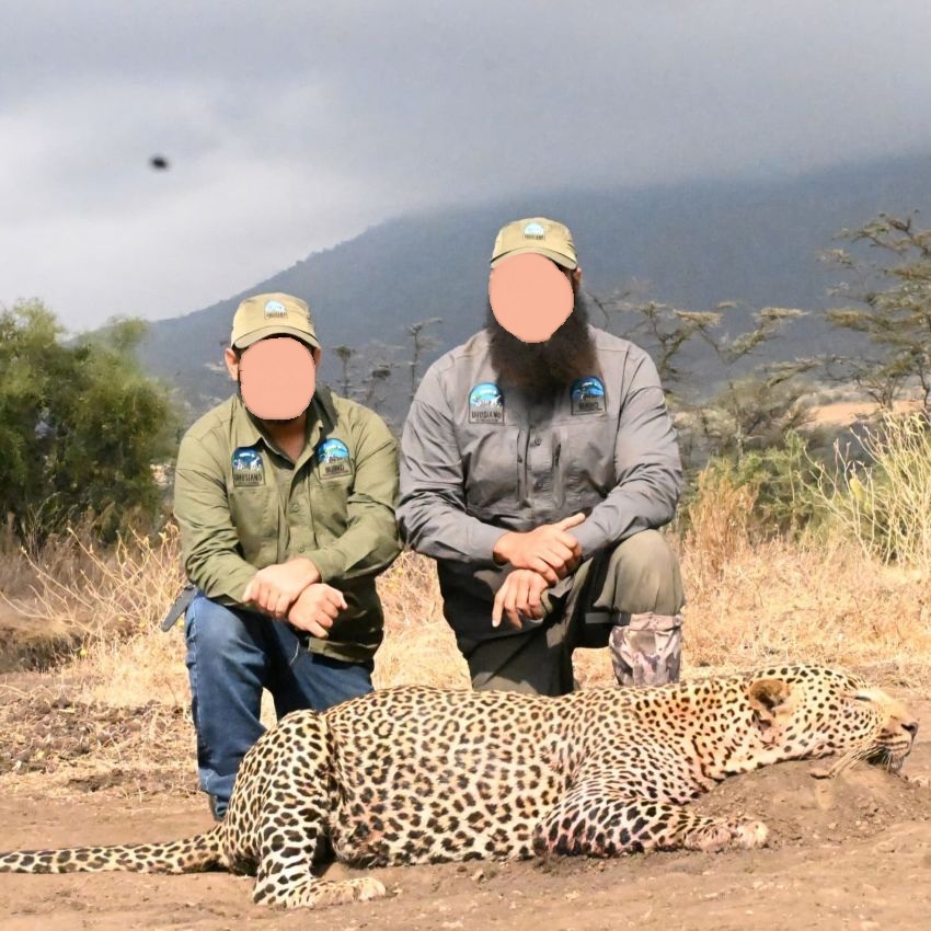 Leopard Hunting in Namibia & Brown Hyena Cancelation Hunt