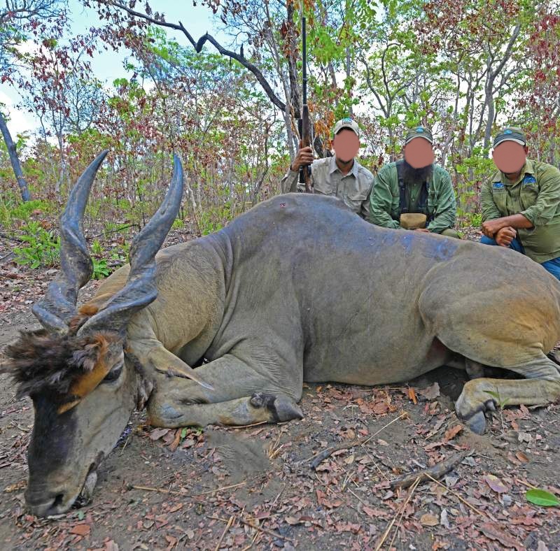 Leopard Hunting in Namibia & Brown Hyena Cancelation Hunt