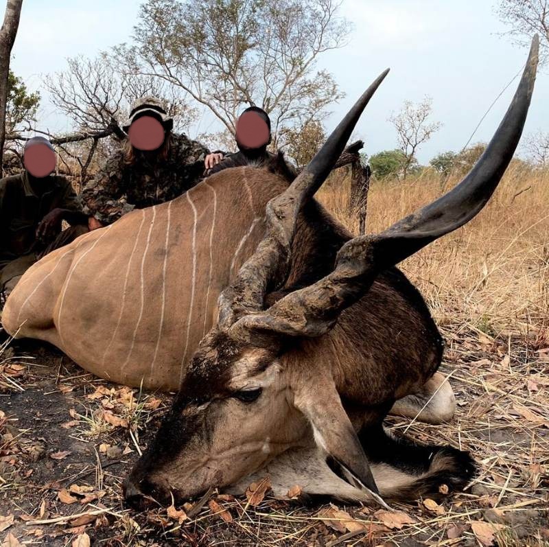 Leopard Hunting in Namibia & Brown Hyena Cancelation Hunt