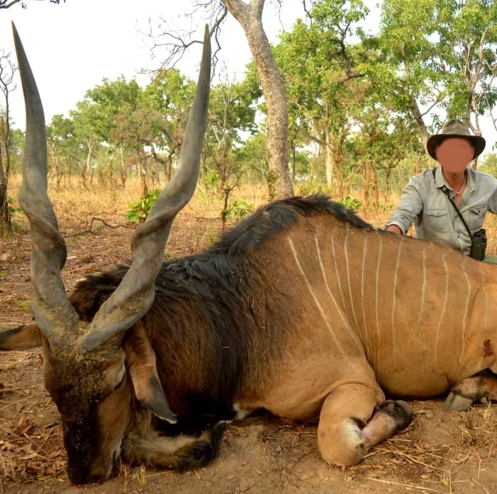 Leopard Hunting in Namibia & Brown Hyena Cancelation Hunt
