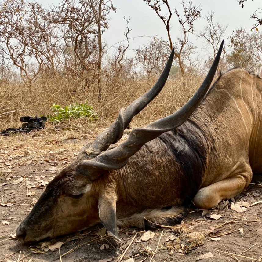 Leopard Hunting in Namibia & Brown Hyena Cancelation Hunt