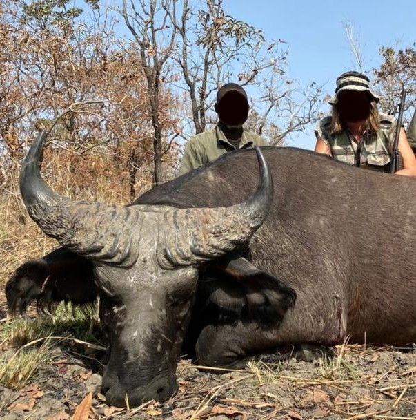 Leopard Hunting in Namibia & Brown Hyena Cancelation Hunt