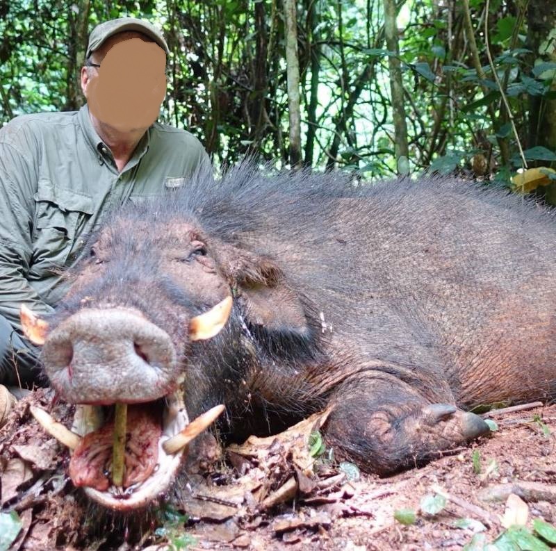 Leopard Hunting in Namibia & Brown Hyena Cancelation Hunt