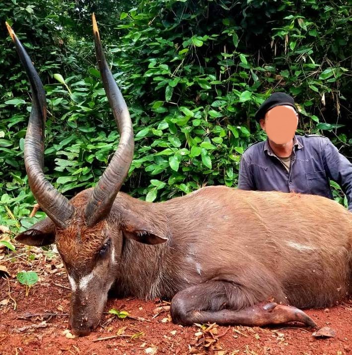 Leopard Hunting in Namibia & Brown Hyena Cancelation Hunt