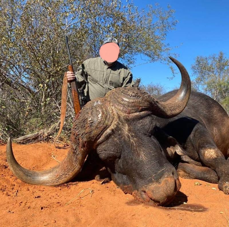Daring & Dangerous: Cape Buffalo Hunting in Mozambique