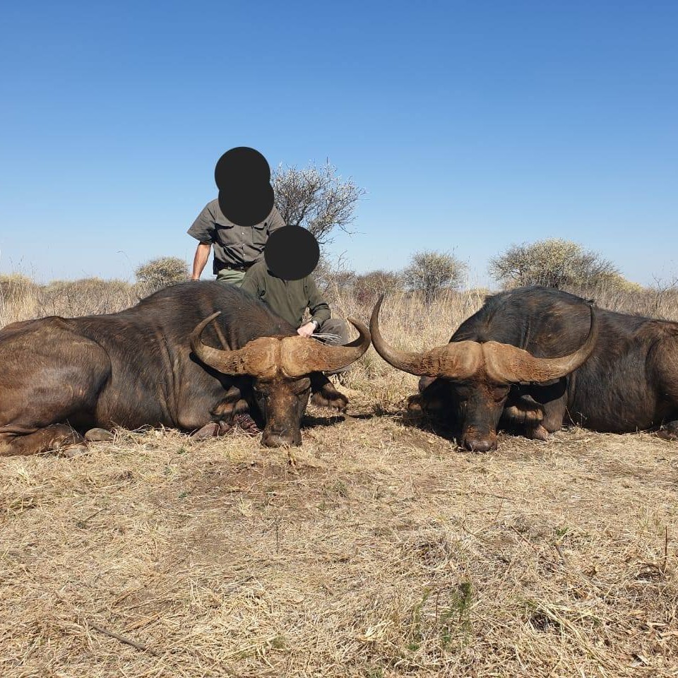 Leopard Hunting in Namibia & Brown Hyena Cancelation Hunt