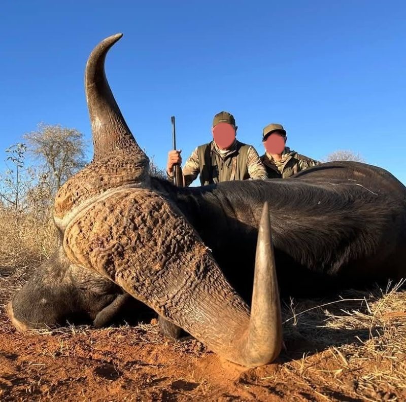 Leopard Hunting in Namibia & Brown Hyena Cancelation Hunt