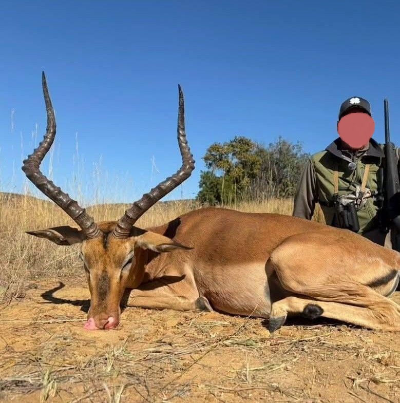 Leopard Hunting in Namibia & Brown Hyena Cancelation Hunt