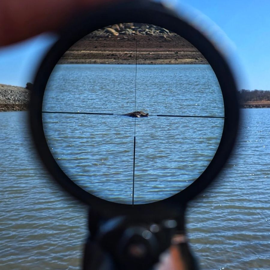 Leopard Hunting in Namibia & Brown Hyena Cancelation Hunt