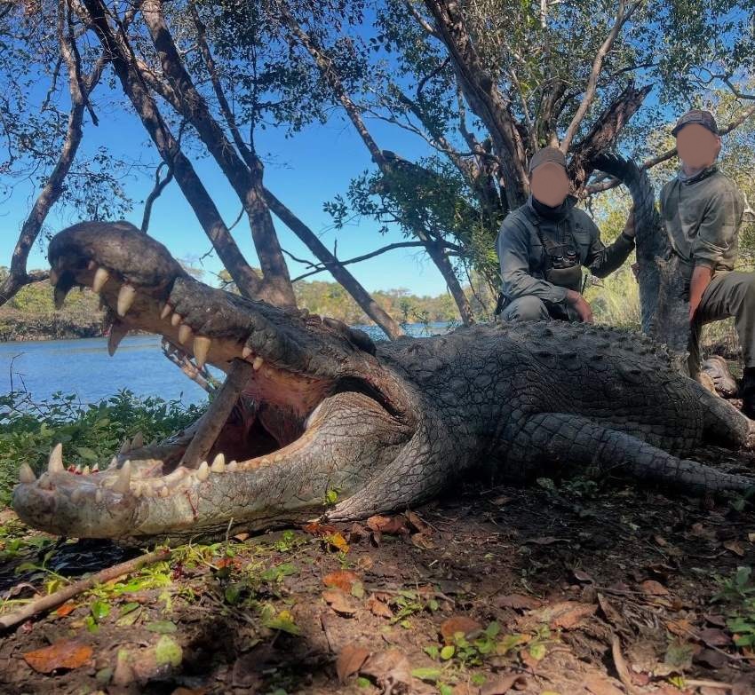 Leopard Hunting in Namibia & Brown Hyena Cancelation Hunt