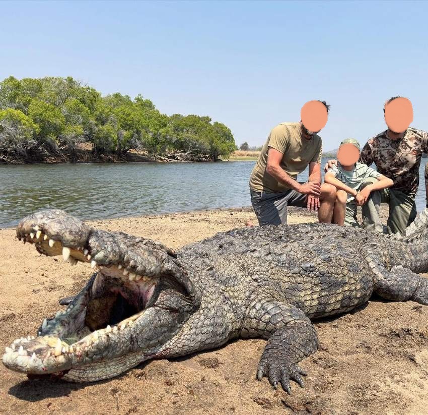 Leopard Hunting in Namibia & Brown Hyena Cancelation Hunt