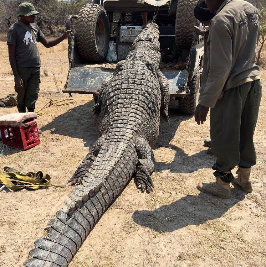 Leopard Hunting in Namibia & Brown Hyena Cancelation Hunt