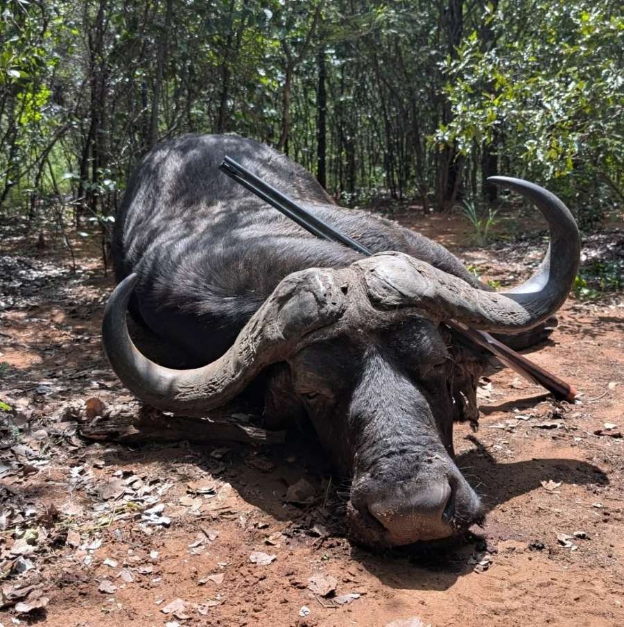 Leopard Hunting in Namibia & Brown Hyena Cancelation Hunt