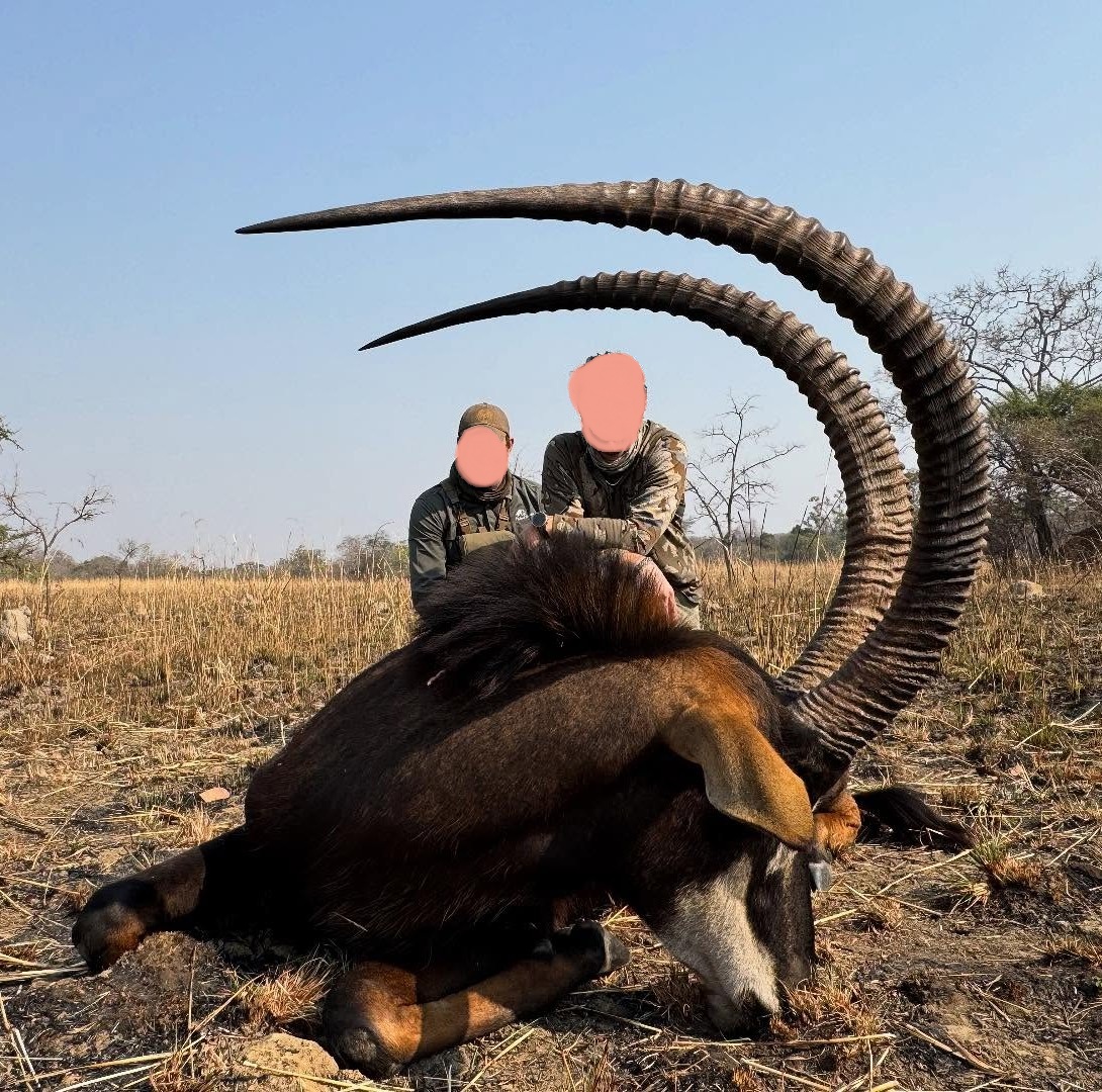 Leopard Hunting in Namibia & Brown Hyena Cancelation Hunt