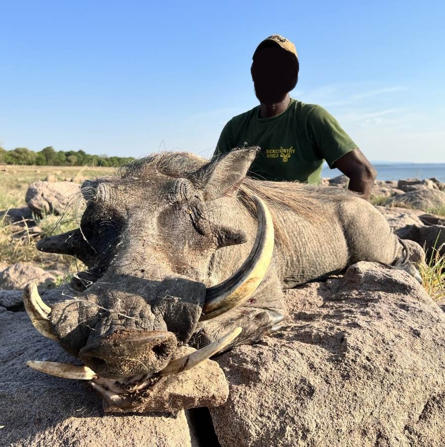 Leopard Hunting in Namibia & Brown Hyena Cancelation Hunt