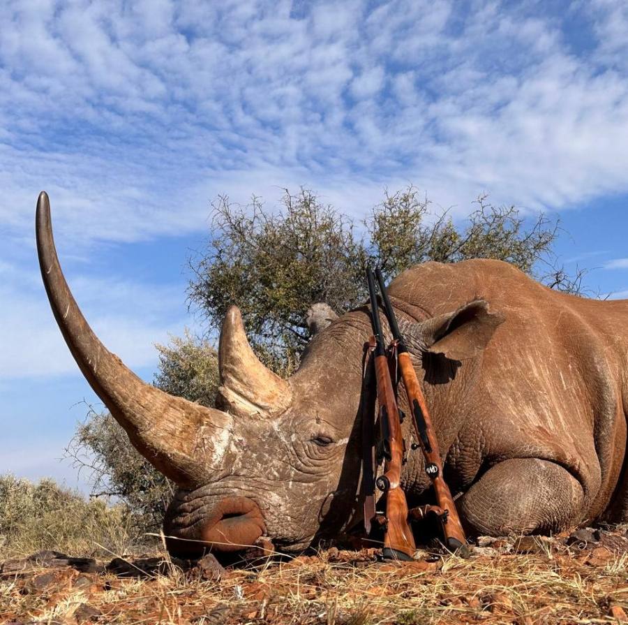 Leopard Hunting in Namibia & Brown Hyena Cancelation Hunt