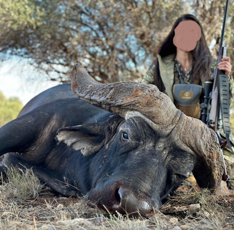 Leopard Hunting in Namibia & Brown Hyena Cancelation Hunt