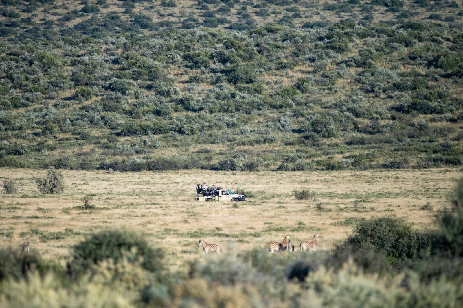 Leopard Hunting in Namibia & Brown Hyena Cancelation Hunt