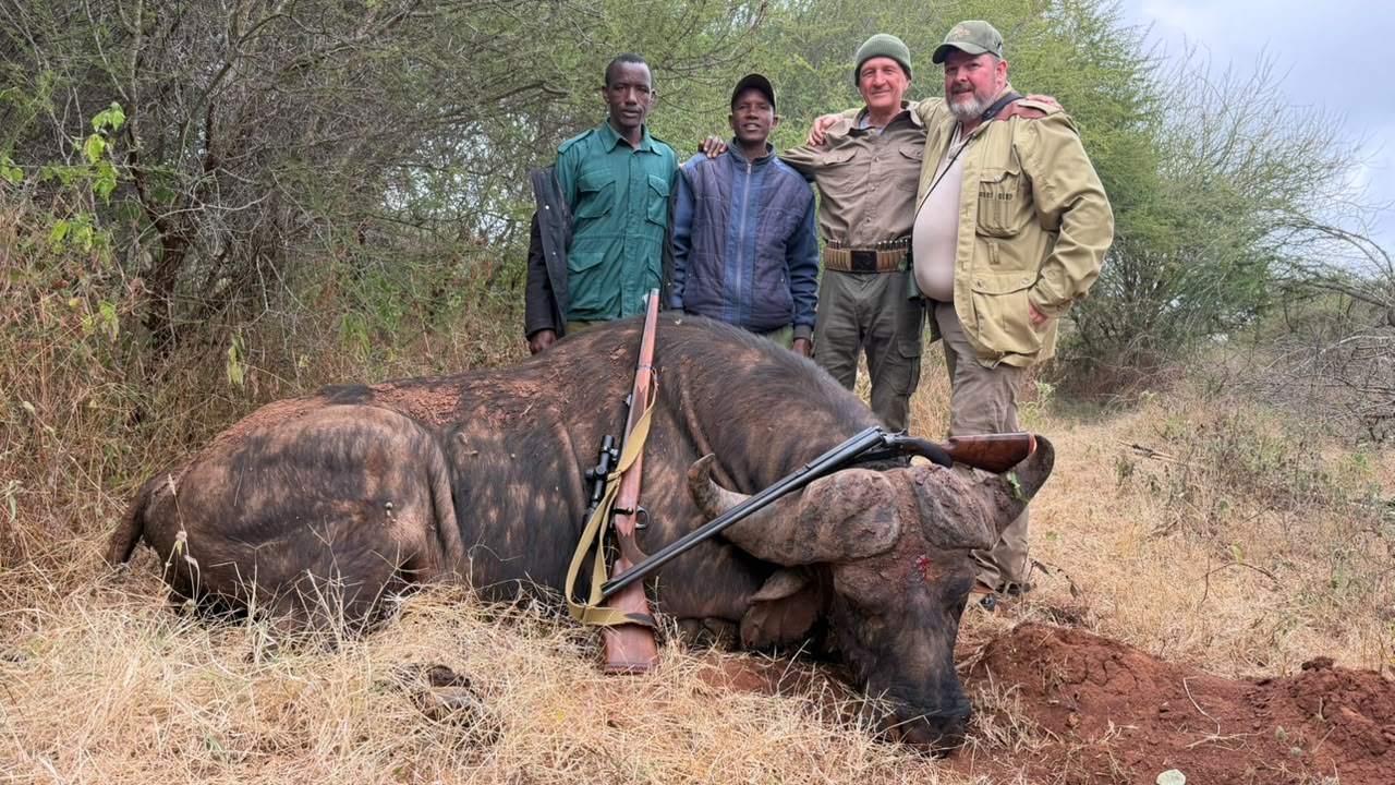 Tanzania Buffalo.jpeg