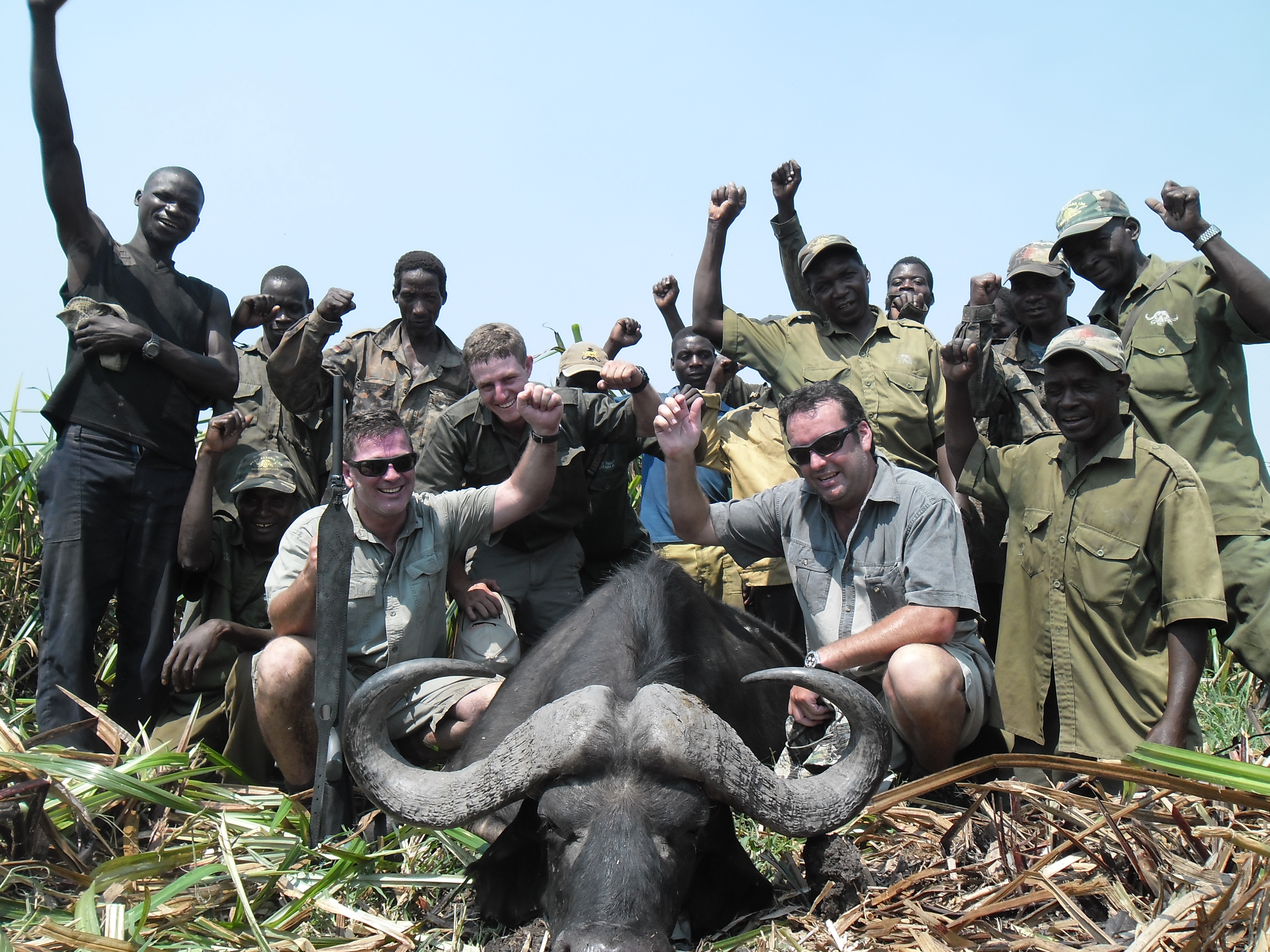 Why Mozambique Buffalo Hunting Feels Wild Again
